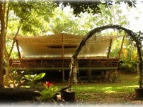 Cedar Park Rainforest Resort - Schoolies Week Accommodation 2