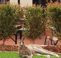 Alpha Canberra Hotel and Apartments - Schoolies Week Accommodation