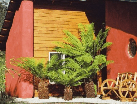 Whispering Spirit Cottage  Miniature Pony Stud - Schoolies Week Accommodation