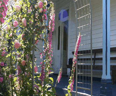Devonport Bed And Breakfast - Schoolies Week Accommodation