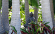 Amber Gardens Guesthouse - thumb 3