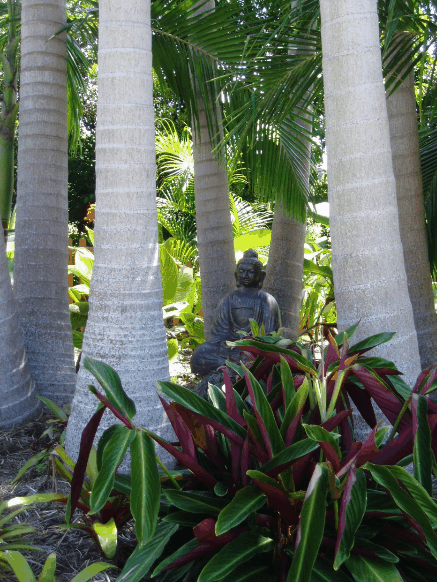 Amber Gardens Guesthouse - Schoolies Week Accommodation 3