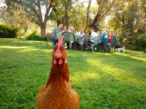 Baranduda Homestead B&B Cottages - Schoolies Week Accommodation 9