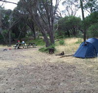 Allports Beach Camping Ground - Schoolies Week Accommodation