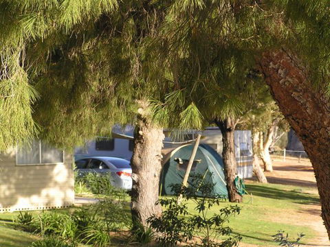Barmera North Lake Caravan Park - Schoolies Week Accommodation 0