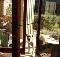 Mara Ponds Branxholm - Schoolies Week Accommodation