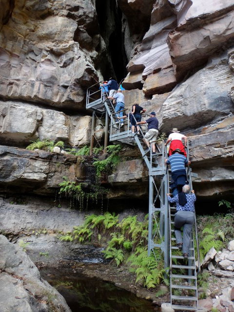 Takarakka Bush Resort Carnarvon Gorge - Schoolies Week Accommodation 0