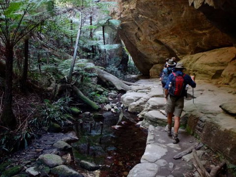 Takarakka Bush Resort Carnarvon Gorge - Schoolies Week Accommodation 6