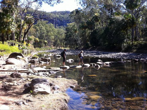 Takarakka Bush Resort Carnarvon Gorge - Schoolies Week Accommodation 9
