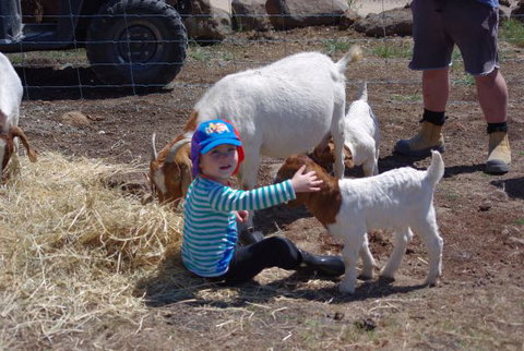 Yalooka Farm - Schoolies Week Accommodation 3