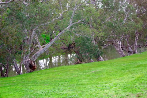 Yalooka Farm - Schoolies Week Accommodation 4