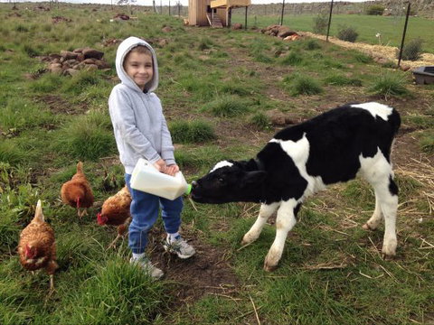 Yalooka Farm - Schoolies Week Accommodation 8