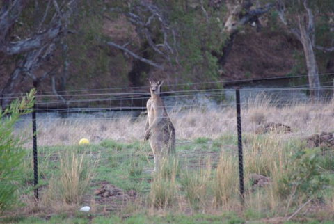 Yalooka Farm - Schoolies Week Accommodation 9