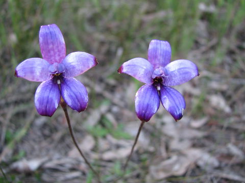Boronia Farm - Schoolies Week Accommodation 4