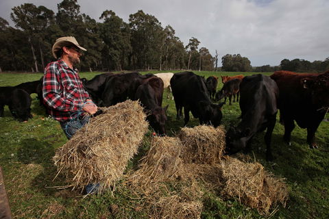 Boronia Farm - Schoolies Week Accommodation 5