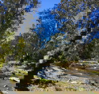 Highfield Farm and Woodland Bush Campsites - Schoolies Week Accommodation