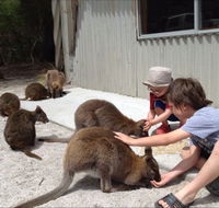 The Patriarch Wildlife Sanctuary Camping Ground - Schoolies Week Accommodation
