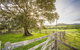 Bo-Warra Farmstay - thumb 2