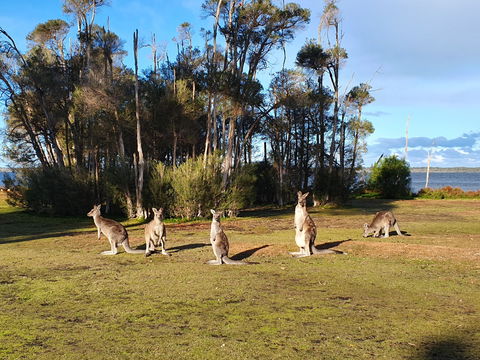 Waterfront Retreat At Wattle Point - Schoolies Week Accommodation 2