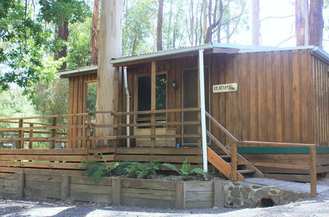 Tarra Valley Caravan Park - Schoolies Week Accommodation 1