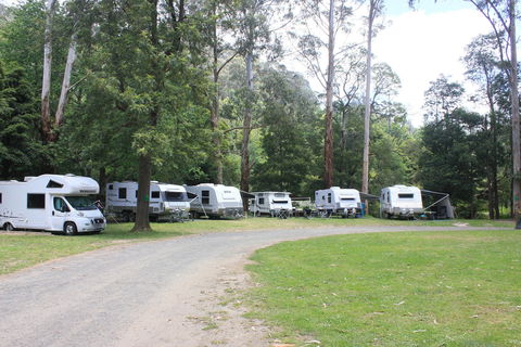 Tarra Valley Caravan Park - Schoolies Week Accommodation 2