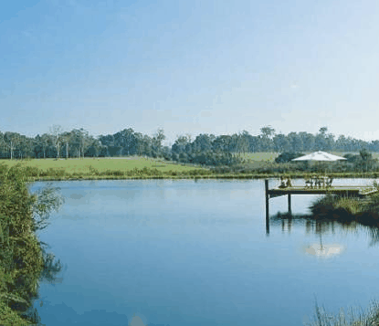 Forest Rise Eco Retreat - Schoolies Week Accommodation 0