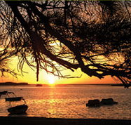Pelican's Nest - Schoolies Week Accommodation