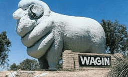 Wagin Motel - Schoolies Week Accommodation