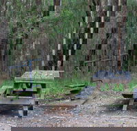 Boundary Falls campground and picnic area - Schoolies Week Accommodation
