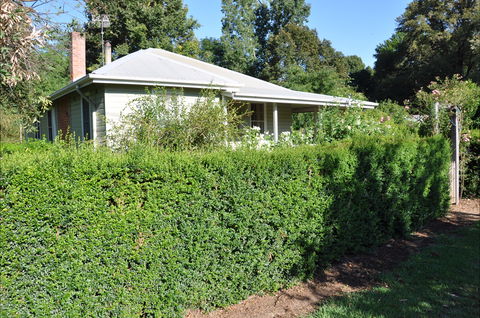 Honeysuckle Cottage - Schoolies Week Accommodation 1