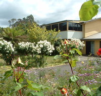 North East Restawhile Bed and Breakfast - Schoolies Week Accommodation