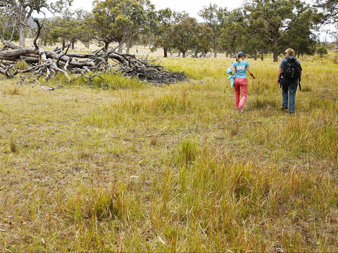 Sundown National Park Camping - Schoolies Week Accommodation 2