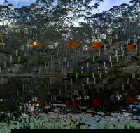 Billabong Retreat - Schoolies Week Accommodation