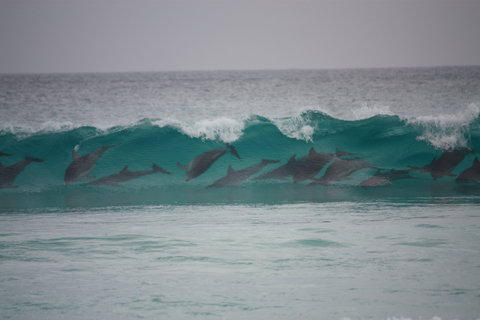 Bremer Bay Caravan Park - Schoolies Week Accommodation 1