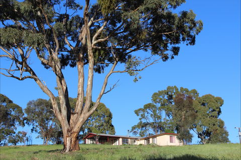 Clare View Accommodation - Clare View Cottage - Schoolies Week Accommodation 2