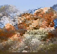 Credo Homestead Camp at Credo Conservation Park - Schoolies Week Accommodation