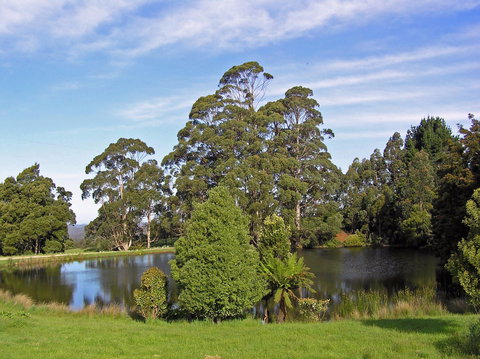 Newry Park Cottage - Schoolies Week Accommodation 1