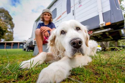 BIG4 St Helens Holiday Park - Schoolies Week Accommodation 2