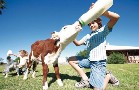 Charlotte Plains - Schoolies Week Accommodation 1