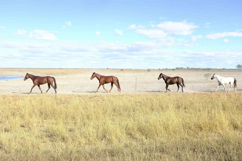 Charlotte Plains - Schoolies Week Accommodation 2
