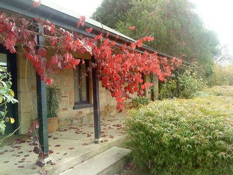 Ethel's Cottage - Schoolies Week Accommodation 0
