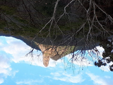 The Barn  House Farm Stay At Possum Manor - Schoolies Week Accommodation 1