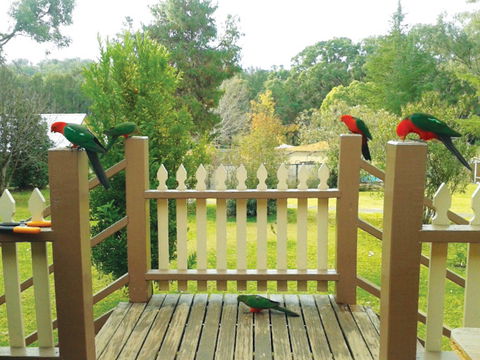 Warrumbungles Mountain Motel - Schoolies Week Accommodation 0