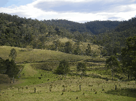 Yasuragi Cabins - Schoolies Week Accommodation