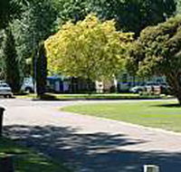 Mitchell Gardens Holiday Park - Schoolies Week Accommodation