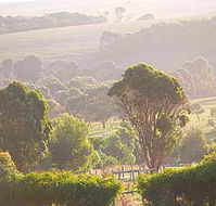 Mackas Farm - Schoolies Week Accommodation