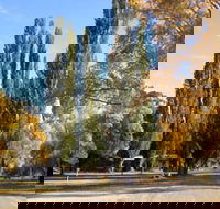Omeo Caravan Park - Schoolies Week Accommodation