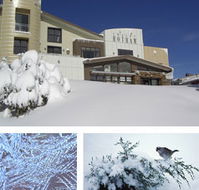 Chalet Hotham - Schoolies Week Accommodation