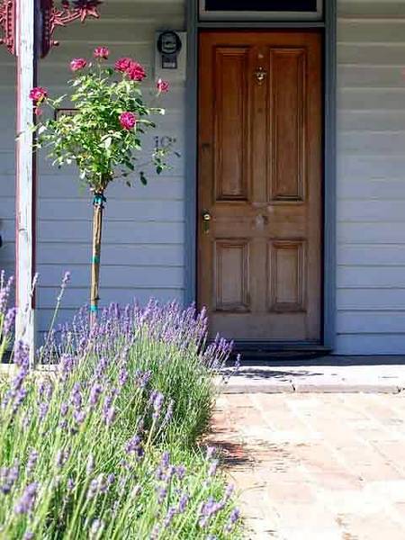 Airleigh - Rose Cottage - Schoolies Week Accommodation 2