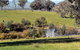 Gaddleen Grove Cottages - thumb 3
